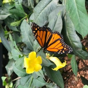 Meet your Posher, Hillary